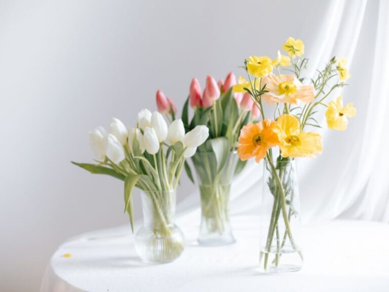 kwiaty we wnętrzach